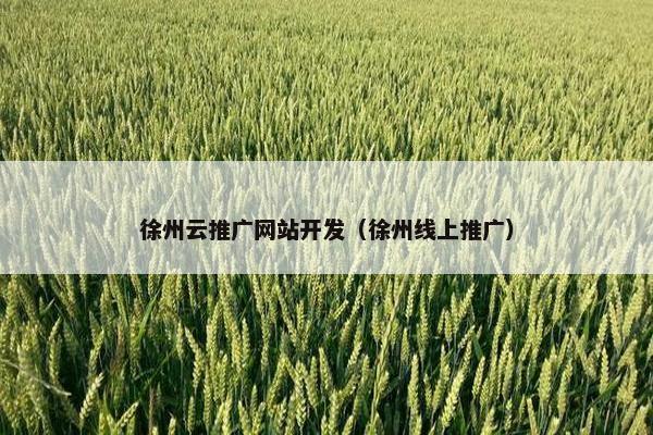 徐州云推广网站开发（徐州线上推广）