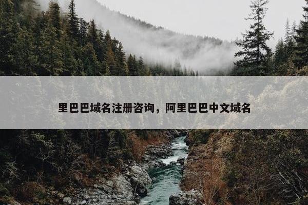 里巴巴域名注册咨询，阿里巴巴中文域名
