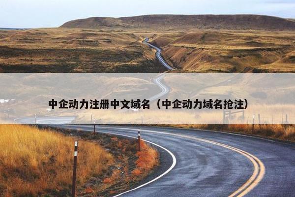 中企动力注册中文域名（中企动力域名抢注）