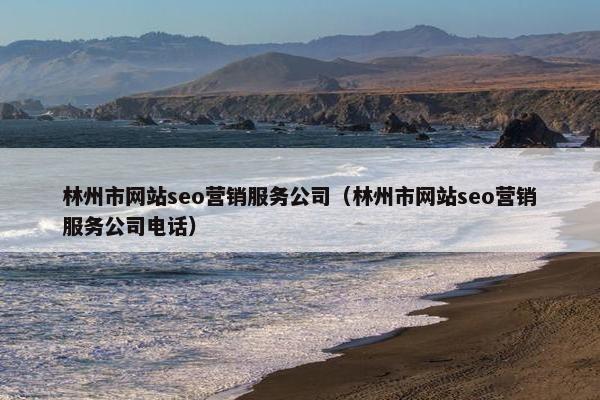 林州市网站seo营销服务公司（林州市网站seo营销服务公司电话）