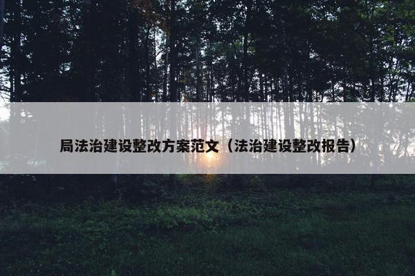 局法治建设整改方案范文（法治建设整改报告）