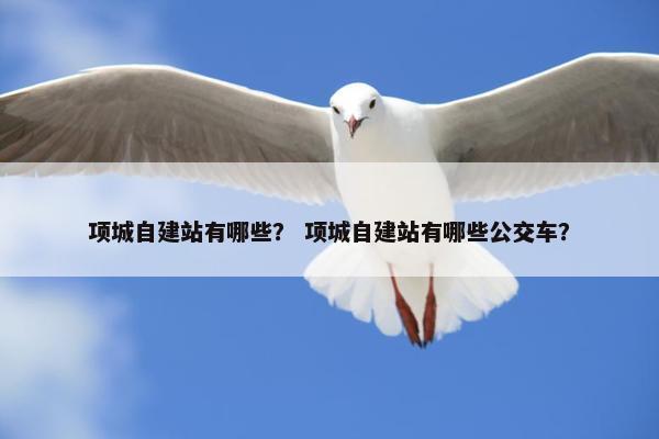 项城自建站有哪些？ 项城自建站有哪些公交车？