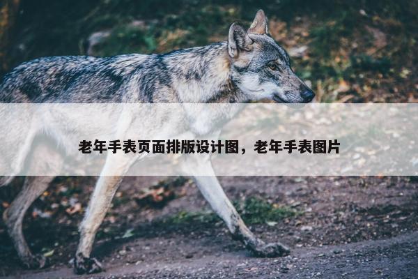 老年手表页面排版设计图，老年手表图片