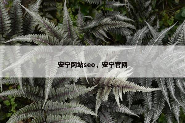安宁网站seo，安宁官网