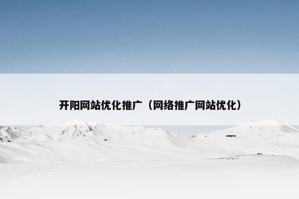 开阳网站优化推广（网络推广网站优化）