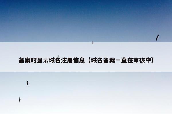 备案时显示域名注册信息（域名备案一直在审核中）
