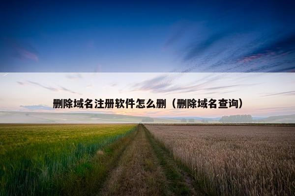删除域名注册软件怎么删（删除域名查询）