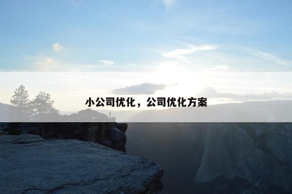 小公司优化，公司优化方案