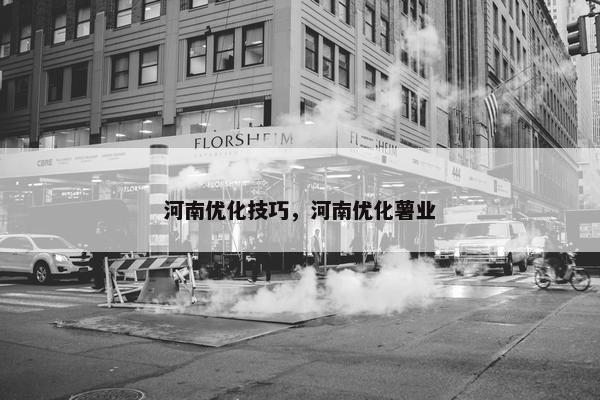 河南优化技巧，河南优化薯业