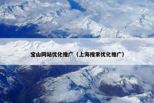 宝山网站优化推广（上海搜索优化推广）