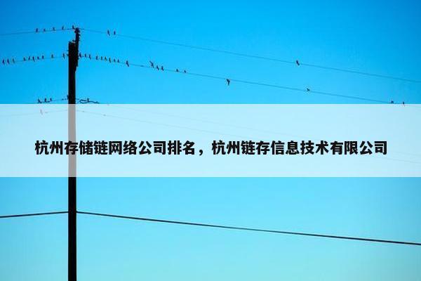 杭州存储链网络公司排名，杭州链存信息技术有限公司