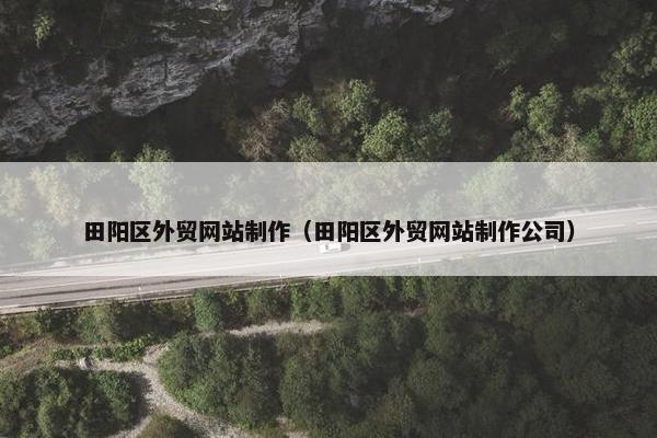 田阳区外贸网站制作（田阳区外贸网站制作公司）