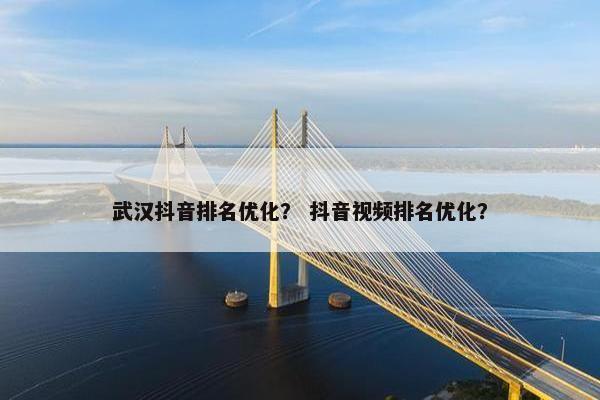 武汉抖音排名优化？ 抖音视频排名优化？
