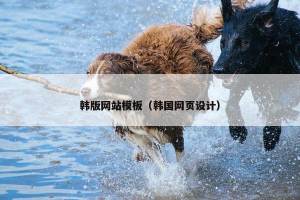 韩版网站模板（韩国网页设计）