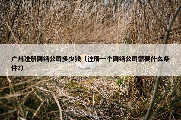 广州注册网络公司多少钱（注册一个网络公司需要什么条件?）