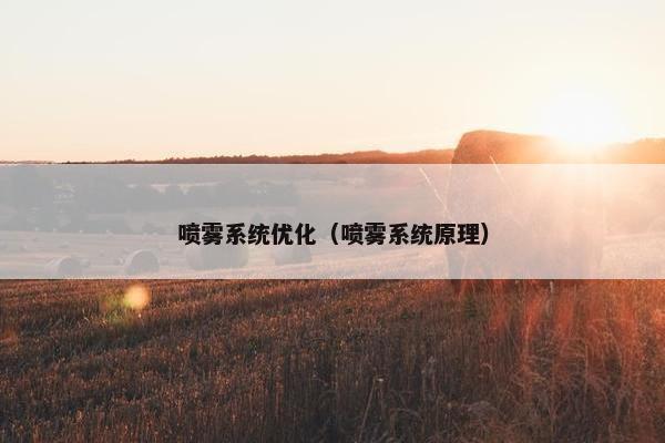 喷雾系统优化（喷雾系统原理）