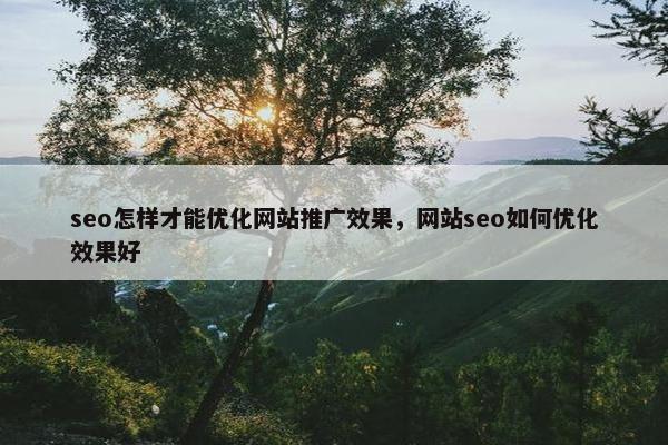 seo怎样才能优化网站推广效果，网站seo如何优化效果好