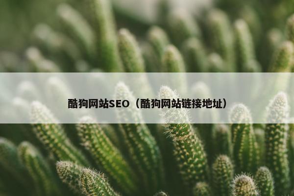 酷狗网站SEO（酷狗网站链接地址）