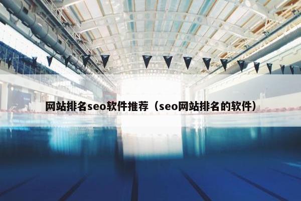 网站排名seo软件推荐（seo网站排名的软件）