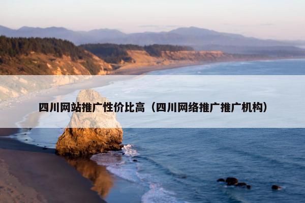 四川网站推广性价比高（四川网络推广推广机构）