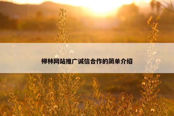柳林网站推广诚信合作的简单介绍