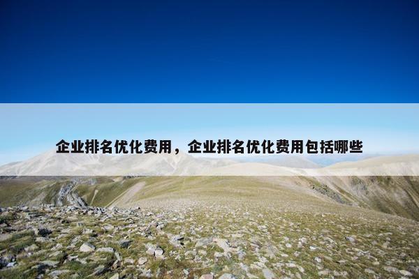 企业排名优化费用，企业排名优化费用包括哪些
