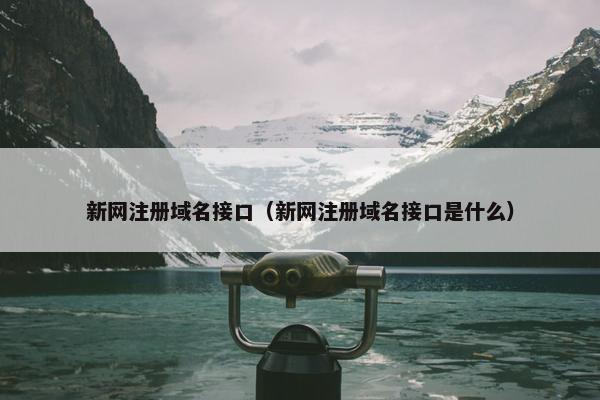 新网注册域名接口（新网注册域名接口是什么）
