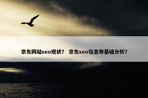 京东网站seo现状？ 京东seo信息等基础分析？