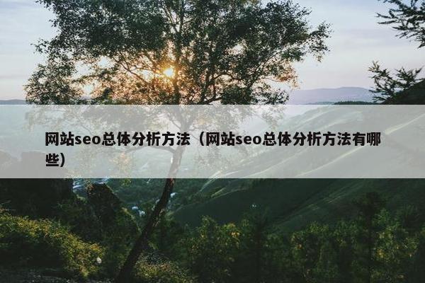 网站seo总体分析方法（网站seo总体分析方法有哪些）