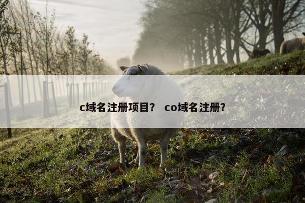 c域名注册项目？ co域名注册？