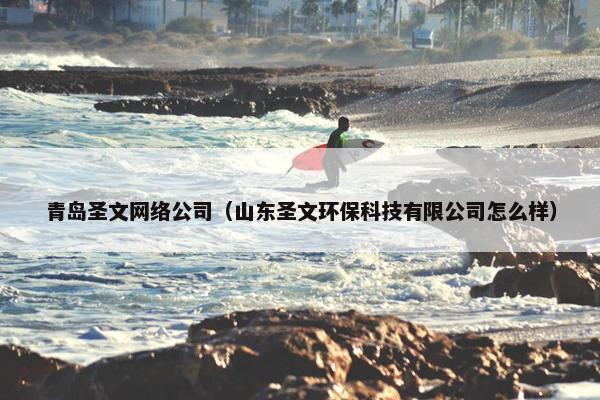 青岛圣文网络公司（山东圣文环保科技有限公司怎么样）
