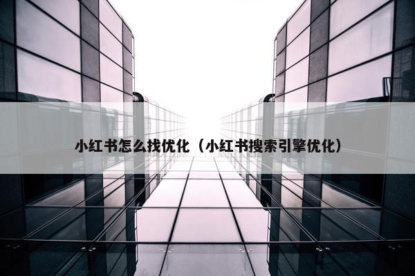 小红书怎么找优化（小红书搜索引擎优化）