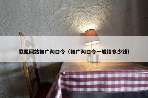 联盟网站推广淘口令（推广淘口令一般给多少钱）