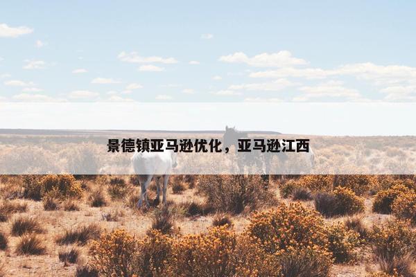 景德镇亚马逊优化，亚马逊江西