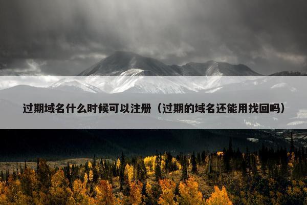 过期域名什么时候可以注册（过期的域名还能用找回吗）