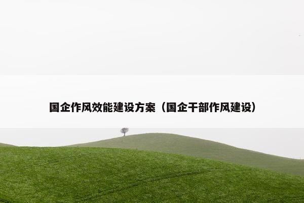 国企作风效能建设方案（国企干部作风建设）
