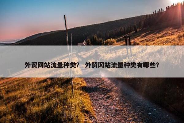 外贸网站流量种类？ 外贸网站流量种类有哪些？