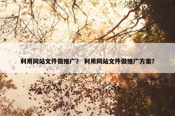 利用网站文件做推广？ 利用网站文件做推广方案？