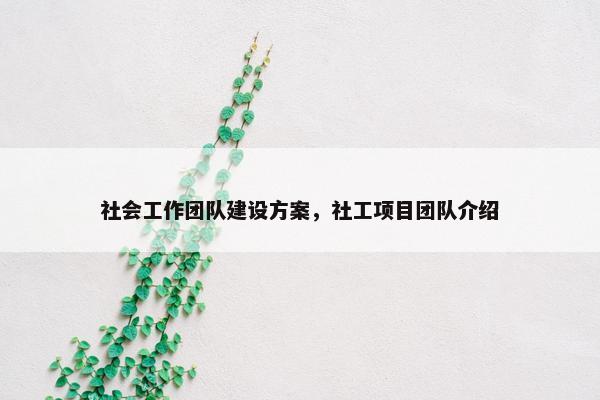 社会工作团队建设方案，社工项目团队介绍