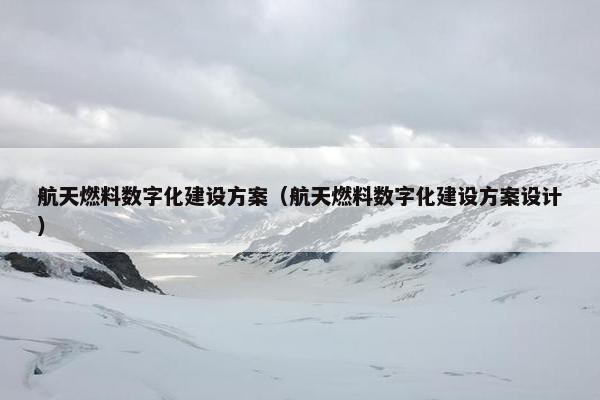 航天燃料数字化建设方案（航天燃料数字化建设方案设计）