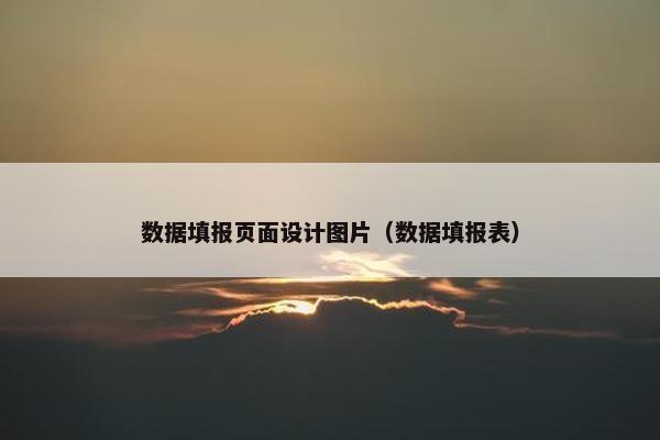 数据填报页面设计图片（数据填报表）