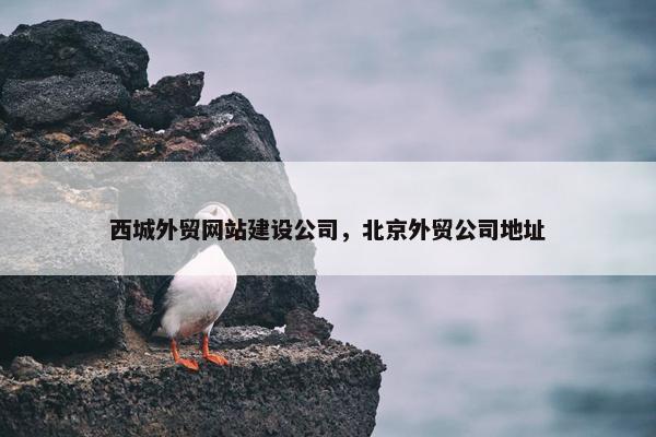 西城外贸网站建设公司，北京外贸公司地址