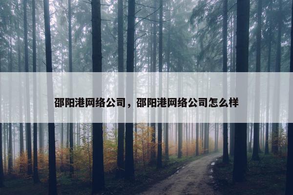 邵阳港网络公司，邵阳港网络公司怎么样