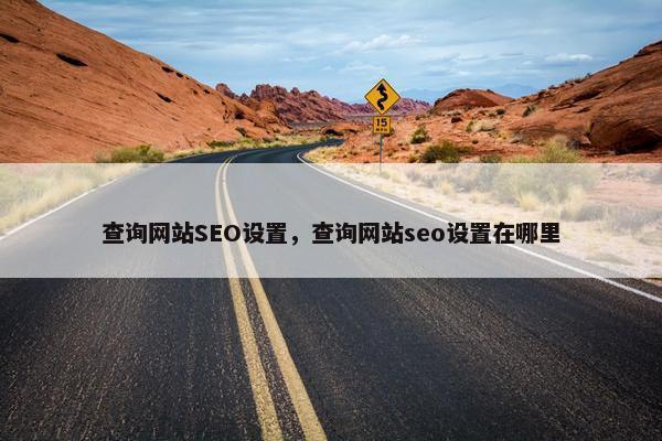 查询网站SEO设置，查询网站seo设置在哪里