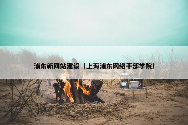 浦东新网站建设（上海浦东网络干部学院）
