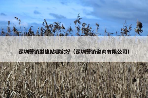 深圳营销型建站哪家好（深圳营销咨询有限公司）