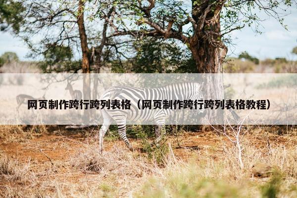 网页制作跨行跨列表格（网页制作跨行跨列表格教程）