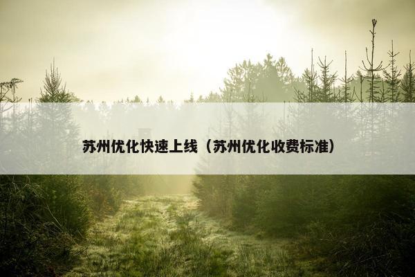 苏州优化快速上线（苏州优化收费标准）