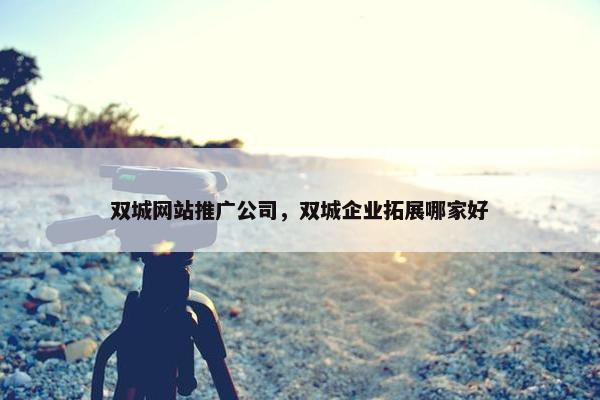 双城网站推广公司，双城企业拓展哪家好