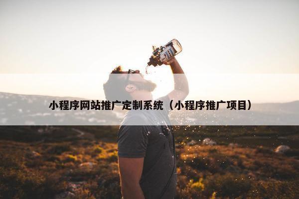 小程序网站推广定制系统（小程序推广项目）